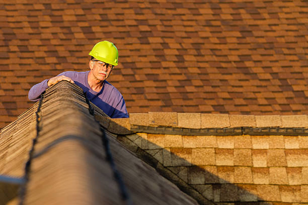 Roof Gutter Cleaning in Lakemont, PA